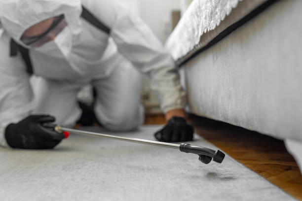 Professional Termite Control technician working in Marquette County County, MI